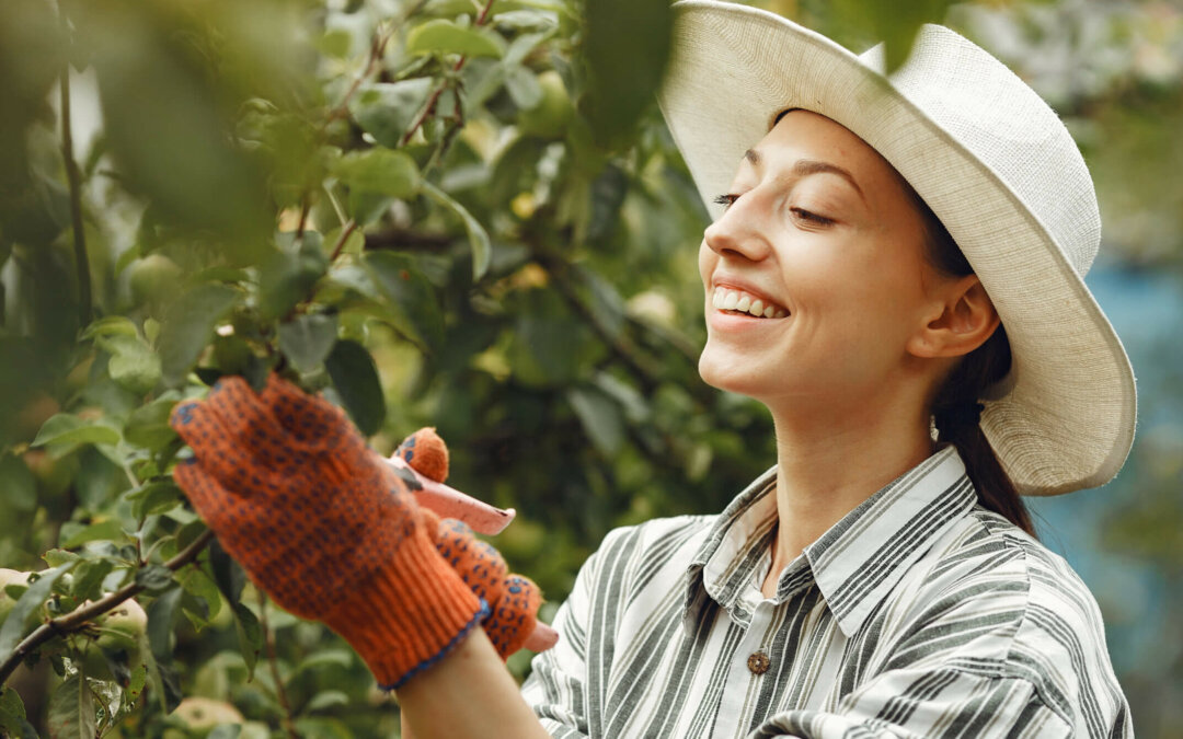 Mindful Gardening: Cultivating Wellness
